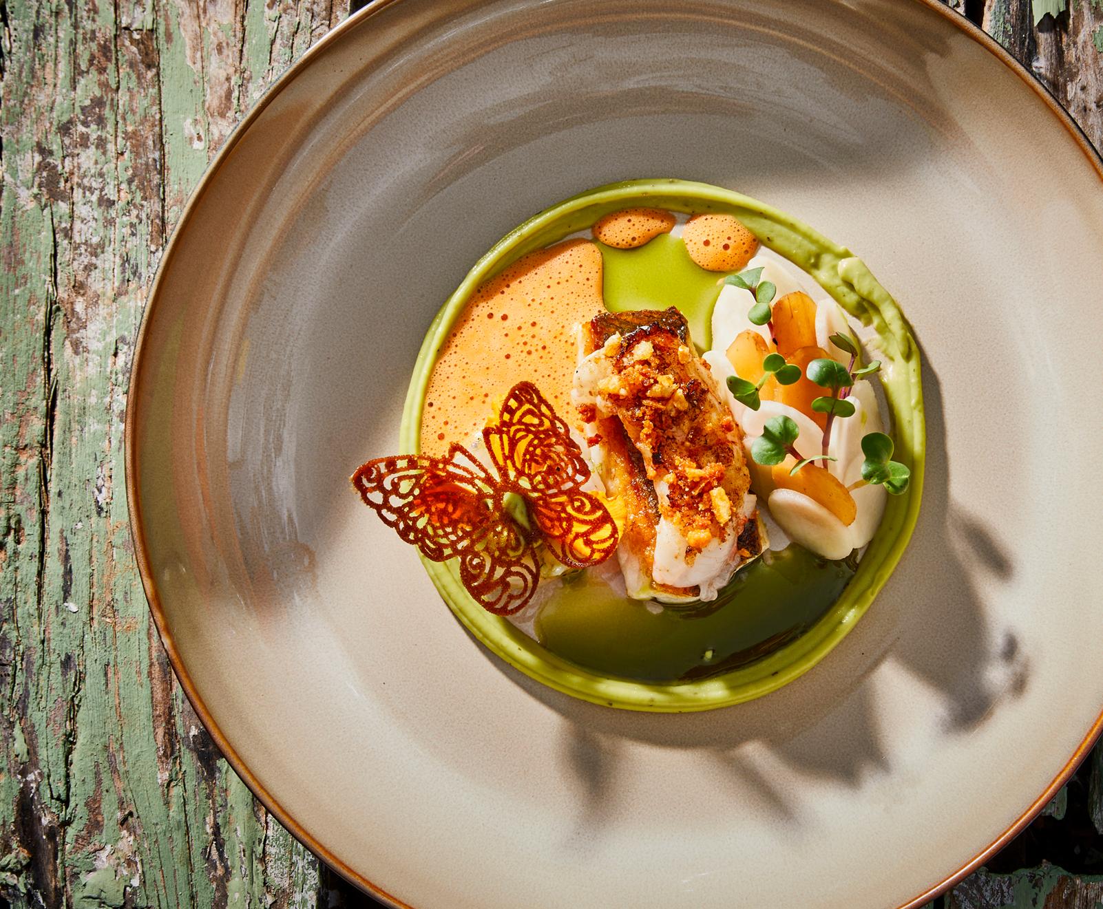 Herbal puree with sea bass, langoustine and rösticrumble.