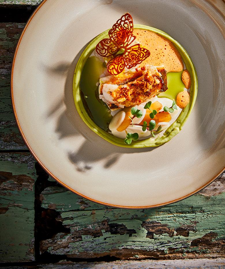 Mobile header herbal puree with sea bass, langoustine and rösticrumble