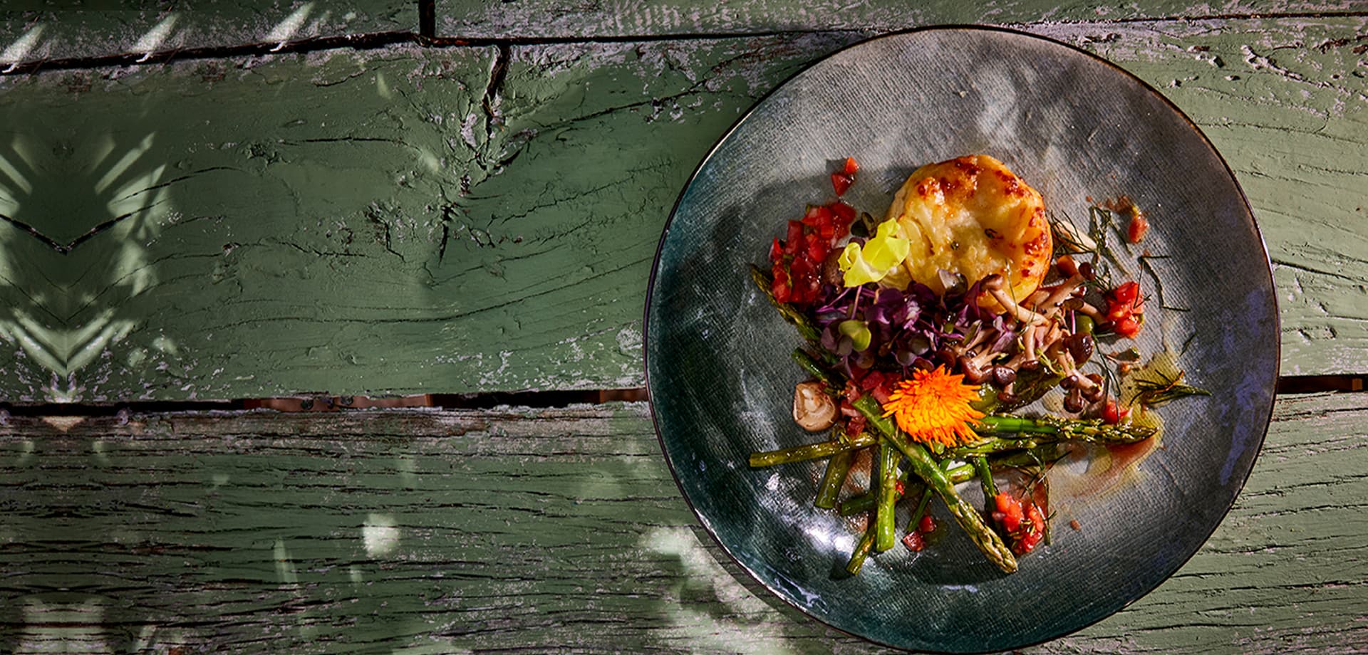 Header A walk in the forest